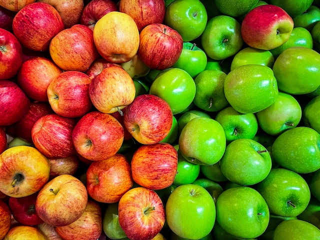 Die Süße genießen: Eine Reise in die Apfelgärten des Bodensees