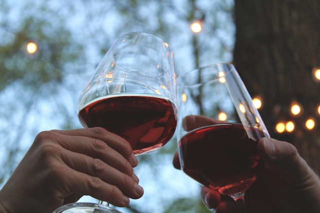 Von Merlot bis Malbec: Ein Leitfaden für Anfänger zu Rotweinsorten